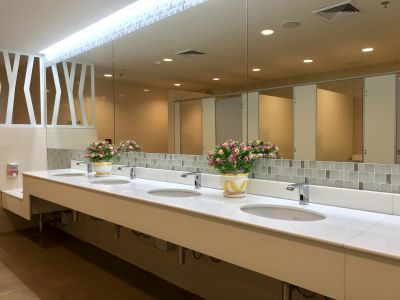 Contemporary Vanity Spaces